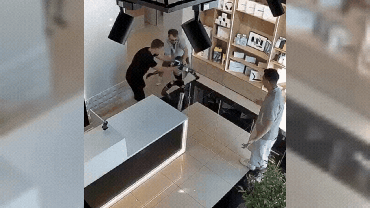 Watch: Humanoid robot throws punches, kicks after man pushes it