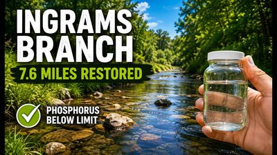 In 2006, Delaware listed Broadkill River waters as impaired for nutrients. 18 years later, BMPs helped restore 7.6 miles of Ingrams Branch, bringing phosphorus levels below the state threshold
