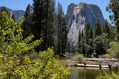 Trump administration allegedly weighs developer’s plan to build private road in Yosemite National Park
