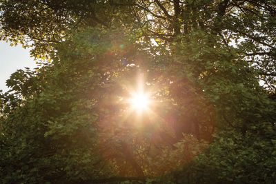Photographer says sun photo “destroyed” his camera’s sensor. Here’s why you may need to heed the warnings