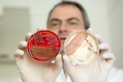 Genetic Sequencing Predicted Reduced Antibiotic Response in All 98 Salmonella Cases Tied to Recalled Texas Eggs