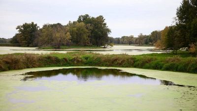 A Wisconsin farming family fought a 2016 tax change as nearly 2,000 floodplain acres became harder to farm; 10 years later, the land is being permanently protected