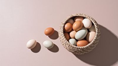 Why Diversification Isn't as Simple as 60/40 Anymore (and What You Can Do Instead)