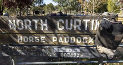 Curtin paddocks housing plan approved despite community traffic fears