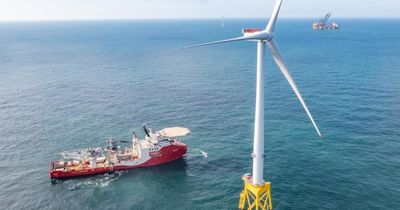 Scotland's largest offshore wind farm 'paid to turn off most of time', report says
