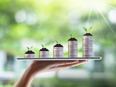 Best large cap mutual funds to invest in September 2026