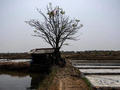El Nino to be 'very strong', last until February, UN warns