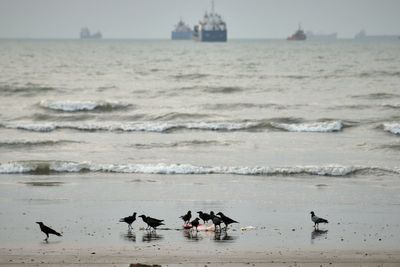 Iran strikes Kuwait in retaliation for US bombardments, and other Mideast news