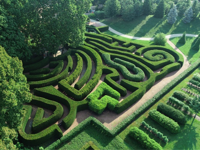 In 1922, Joy Morton turned 175 acres of his Illinois country estate into a tree museum west of Chicago; a century later, the Morton Arboretum spans 1,700 acres