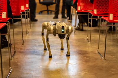 The Rise of the Robot Dog: UK's Construction Sites Prepare for a Futuristic Overhaul