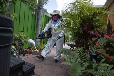Westchester Confirms Its First West Nile Case of the Year in Yonkers as Metro Detections Climb