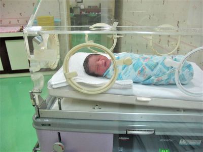 Three Strain Probiotic Tied to Half the Risk of a Deadly Gut Disease in Premature Infants