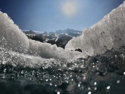 Switzerland is putting sheep’s wool on a melting glacier to fight climate change — here’s why scientists think it could work as results start coming in