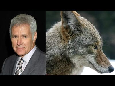 In 1998, Jeopardy! host Alex Trebek donated 74 acres in Hollywood Hills worth $2 million and the land is now a protected open space beside Runyon Canyon