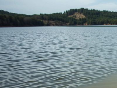 A synthetic hormone was added to a remote Canadian lake in tiny amounts — then an entire fish population nearly collapsed