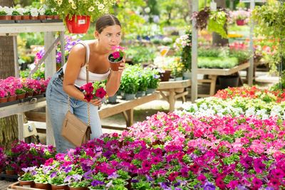 Some of the Best Garden Bargains of the Year Show Up After Summer Ends