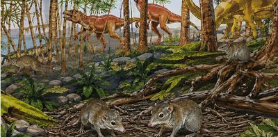 Early mammals weren’t all loners, as scientists thought – some already lived in pairs alongside the dinosaurs