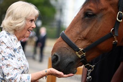 Camilla’s praise for inner-city riding club