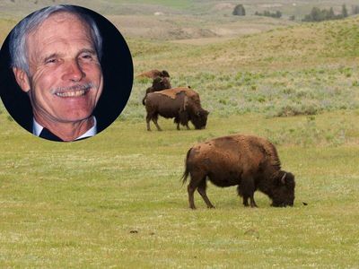 In 1989, CNN founder Ted Turner bought a 113,613-acre Montana ranch for $21 million and made a radical change that transformed the land