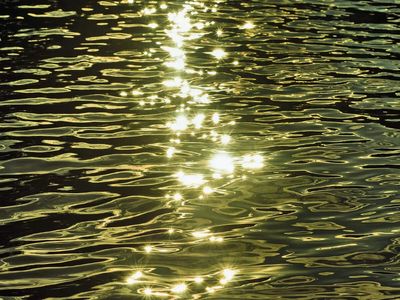 India has a solar land problem. Its reservoirs may hold the answer