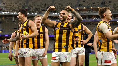 Relentless Hawks embrace pressure in AFL finals stunner