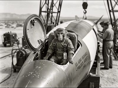 In 1948, a male rhesus monkey named Albert was launched on a V-2 rocket by the US towards space but the mission failed and the animal did not survive the flight