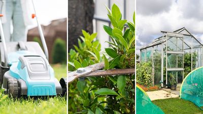 9 Important jobs to do in your garden this September, according to the experts