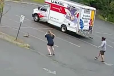 Mystery animal terrorizing neighborhood in New Hampshire after third attack in less than two days is reported