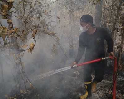 Morning Mail: El Niño could be strongest ever, bond market chaos, Gloria Steinem dies aged 92