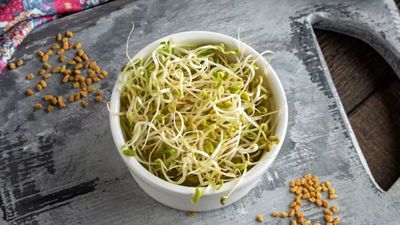 Recalled Sprouts Reached Only Two States but Illnesses Turned Up in Fifteen and Investigators Cannot Explain Why