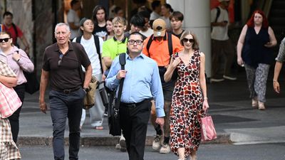 'Lazy' productivity claims slammed as Labor looks to AI