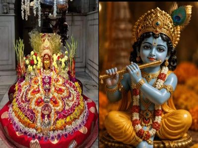 Janmashtami 2026: Lord Krishna had a sister Yogamaya who was also born on the same ashtami night. She also has a connection with Delhi's Mehrauli and Vindhyavasini