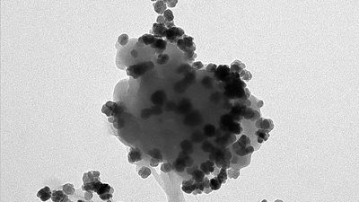 Magnetic 'nanoflowers' trap and transform nanoplastics in water