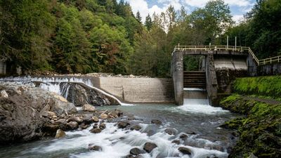 In 2020, the US removed 69 dams, reconnecting 624 miles of rivers and restoring habitat for salmon, steelhead and native fish species