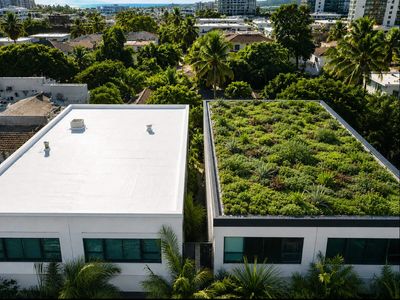 In 2018, a University of Hawaii study compared green and white roofs in Honolulu; the green roof was reported to have lower peak temperatures at the surface and nearby air