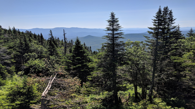 Vermont taxes 2.4 million acres of private forest on what it grows rather than what a developer would pay; owners who break the deal repay a decade of the difference
