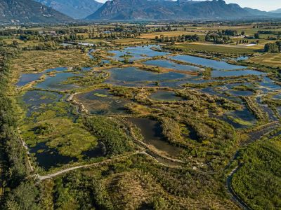 Prineville built a 120-acre wetland instead of a new wastewater plant; the Oregon system cost $7.7 million and saved the city $54 million versus conventional treatment