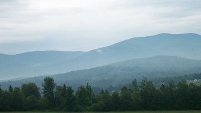 In 1965, scientists cut every tree in a New Hampshire watershed to determine how removing forest cover changes water supply; first-year streamflow rose about 40% and second-year nitrate topped 50 mg/L