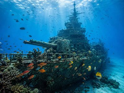 In 2002, South Australia scuttled ex-HMAS Hobart in 2 minutes and 17 seconds; 18 years later, a marine survey recorded more than 50 fish species around the destroyer
