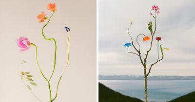 This Artist Made 26 Playful Freakabana-Inspired Compositions That Bring Flowers Into Unexpected Places