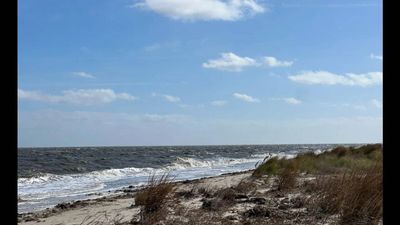 In recent years, workers began restoring 4,000 acres at Delaware's Prime Hook National Wildlife Refuge. Today, new dunes stand nearly 10 feet high as grasses thrive and wildlife returns