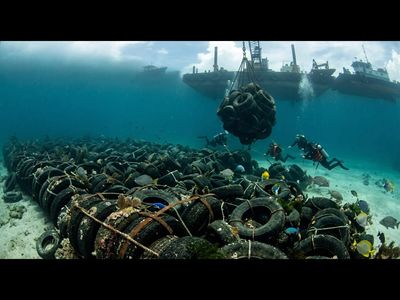 In 1972, Florida dumped 2 million tires into the ocean to build the world’s largest man-made reef; decades later, the military had to remove them