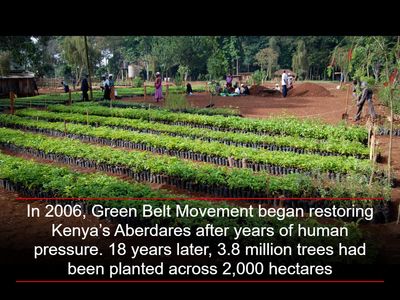In 2006, Green Belt Movement began restoring Kenya’s Aberdares after years of human pressure. 18 years later, 3.8 million trees had been planted across 2,000 hectares