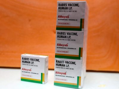 Govt flags Abhayrab rabies vaccine batch as substandard, probes if spurious, document shows