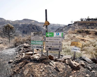 ‘Then who or what did we cremate?’ Daughter’s horror at finding bones in British wildfire victims’ car