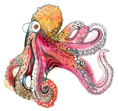 What colour is octopus’s blood and how heavy is the sky? The kids’ quiz