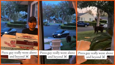 Bear watches pizza delivery guy drop off an order before making its move: ‘he wants the pizza’