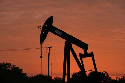 Argentina to investigate oil projects around Falklands