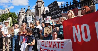 Climate activists stage huge protest over 'outrageous' reports of Jackdaw approval