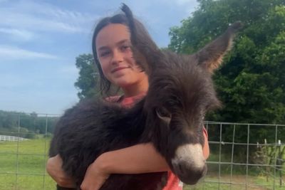 Georgia cop reveals why he shot dead a family’s pet donkey